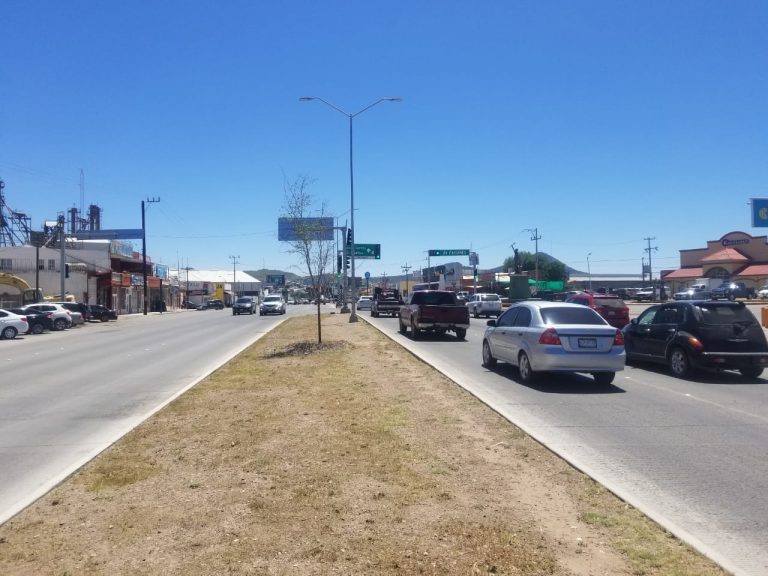 Reforestará Servicios Públicos de Cuauhtémoc el Boulevard Fernando Baeza