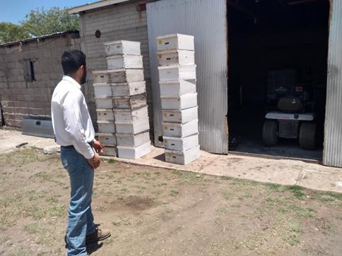 CONVOCA DESARROLLO RURAL A APICULTORES PARA RECIBIR APOYO ALIMENTARIO DE SUS COLMENAS