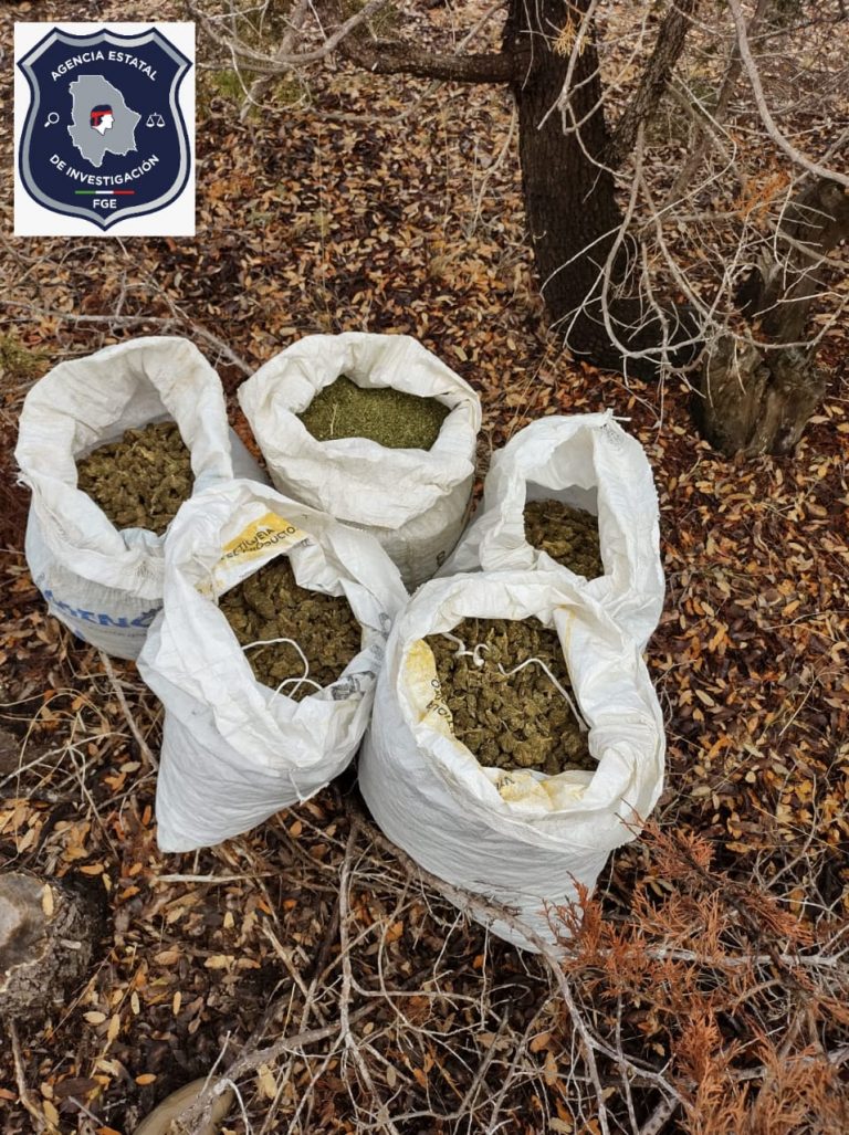 Asegura AEI 5 costales con mariguana en Guerrero