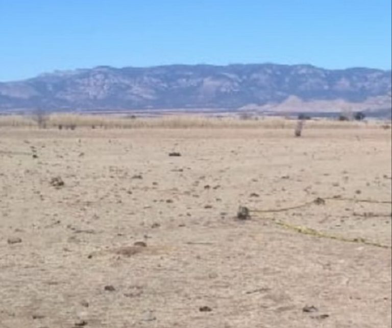 Asesinan a golpes a hombre en Bachíniva