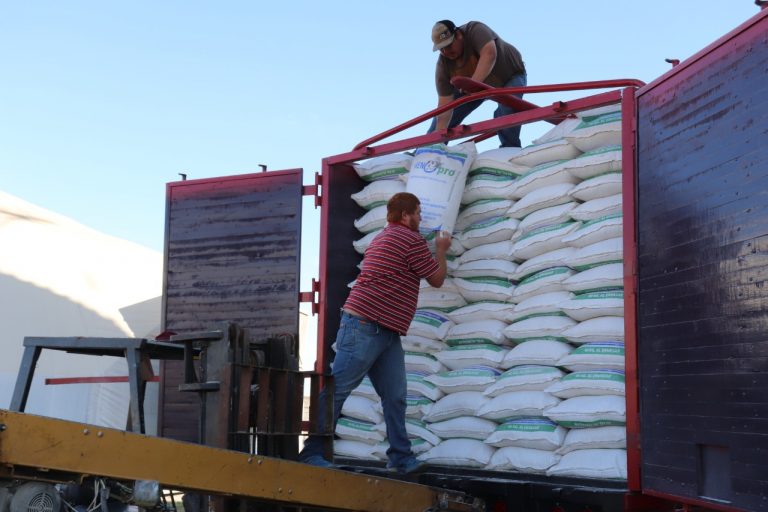 Emite Gobierno Municipal de Cuauhtémoc convocatoria para apoyos con maíz molido