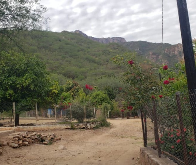 Un muerto y dos heridos a machetazos en Urique