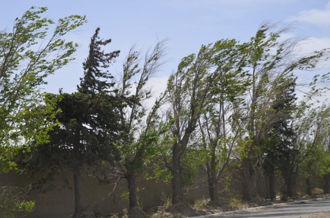Pronostica CEPC rachas de 75 km/h en el noroeste para mañana miércoles