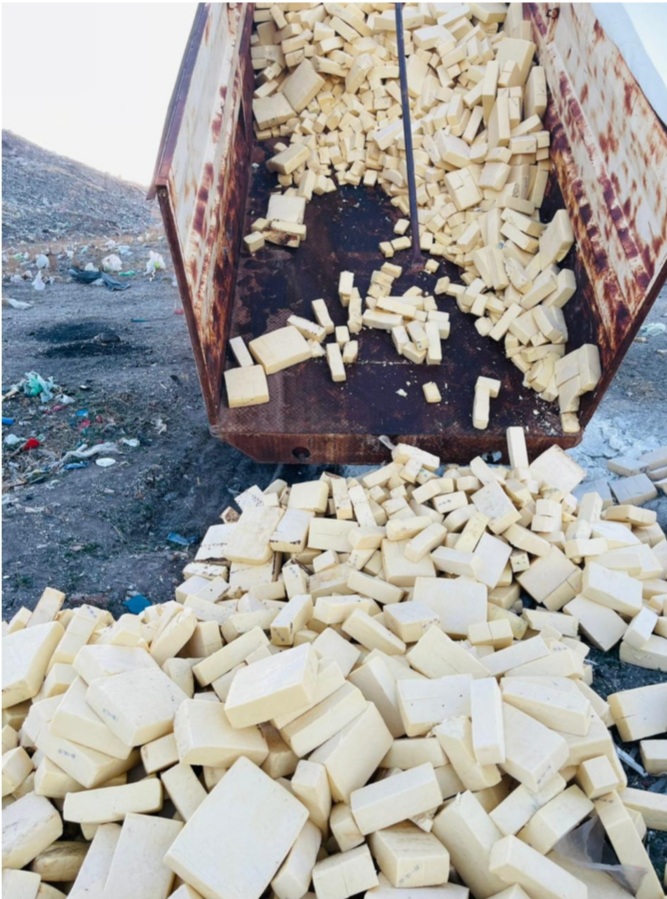 Destruye Coespris 10.6 toneladas de queso contaminado, en región Cuauhtémoc