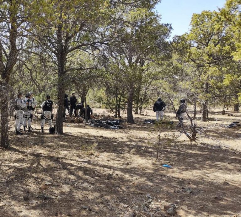 Localiza FGE cuatro osamentas en predio en Gómez Farías