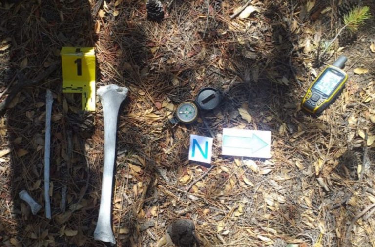 Localizan restos óseos en Ejido 6 de Enero