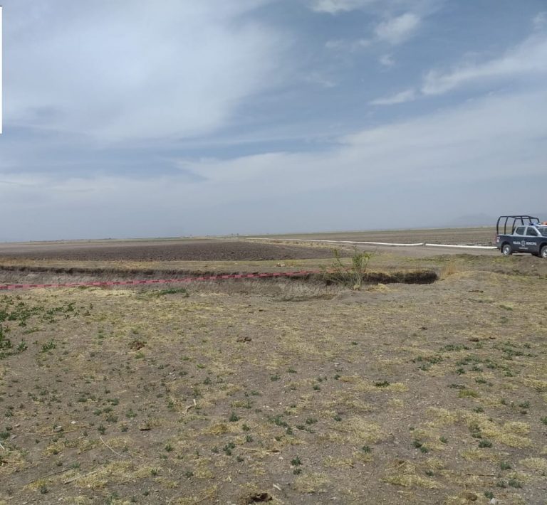 Localizan osamenta en Anáhuac