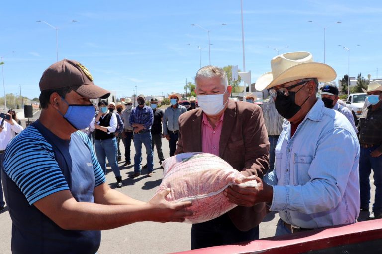 Incentiva Municipio de Cuauhtémoc siembra de fríjol y otorga 9.6 toneladas de semilla certificada