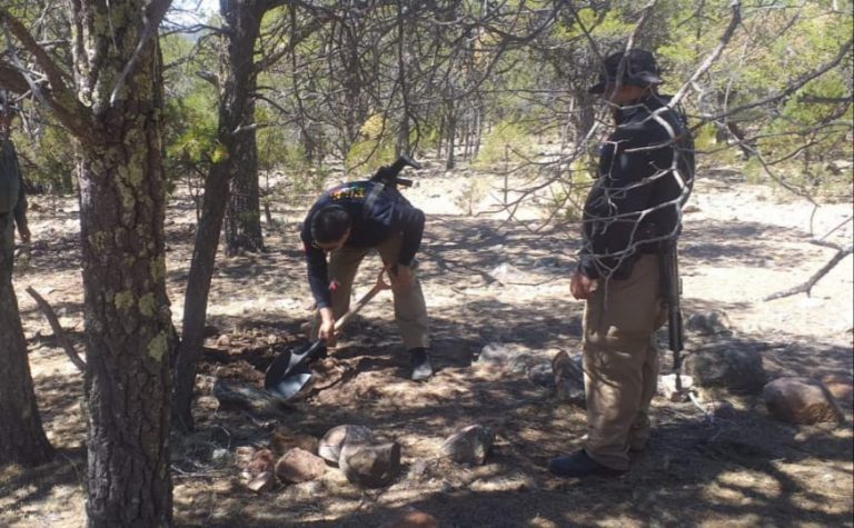 Localizan osamenta en Gómez Farías