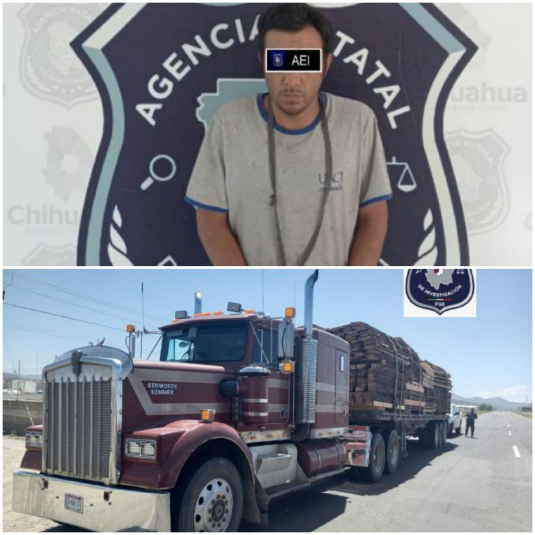 Asegura AEI ZO tráiler y detiene a chofer por carga ilegal de madera