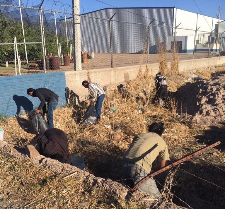 Realizan infractores trabajo comunitario en Rubio