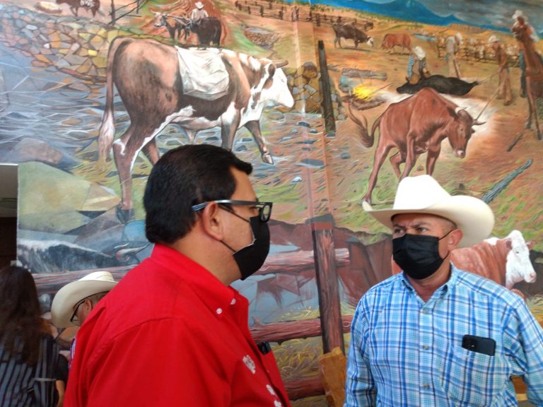 BUSCARÉ CONCRETAR COMPLEJO GANADERO: PANCHITO SÁENZ