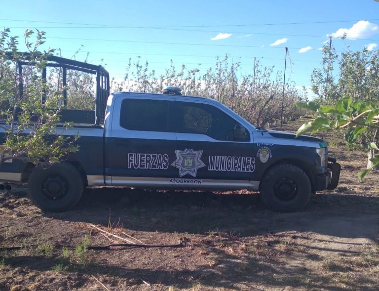 Localizan cuerpo en descomposición en huerta manzanera