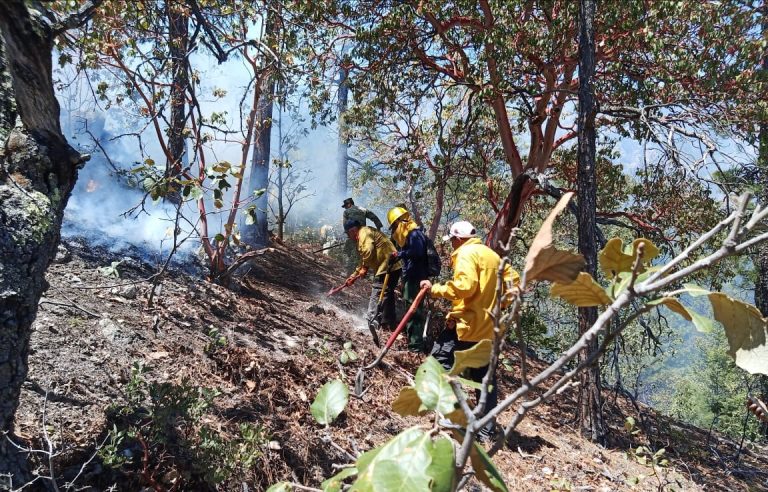 #Cuauhtémoc Habilitan instalaciones de Protección Civil como centro de acopio para apoyo a brigadistas