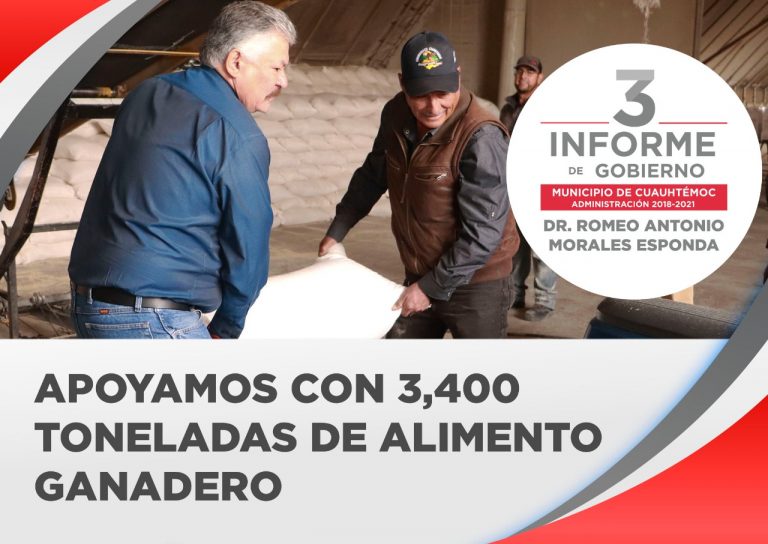 3ER. INFORME: EL GOBIERNO MUNCIPAL DE CUAUHTÉMOC APOYÓ AL SECTOR PECUARIO CON CON 3 MIL 400 TONELADAS DE ALIMENTO GANADERO