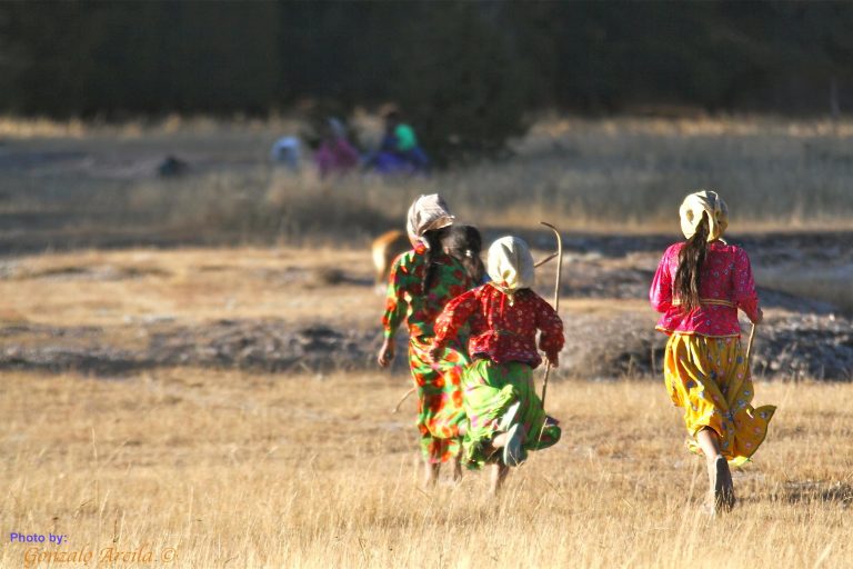 Urge Alianza Sierra Madre a los gobiernos federal y estatal a combatir la desnutrición en las comunidades indígenas de la Sierra Tarahumara