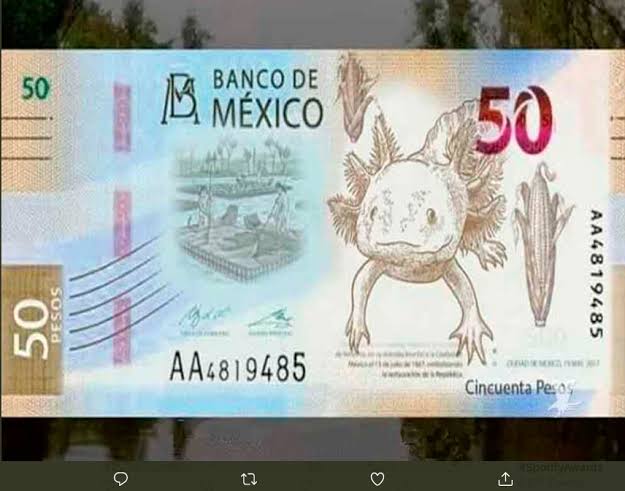 Banxico ‘jubila’ a Morelos: esto es lo que sabemos del nuevo billete de 50 pesos