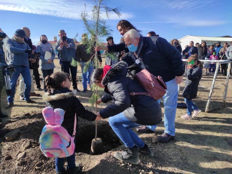 54 jardines de niños adoptan 600 árboles, en Cuauhtémoc