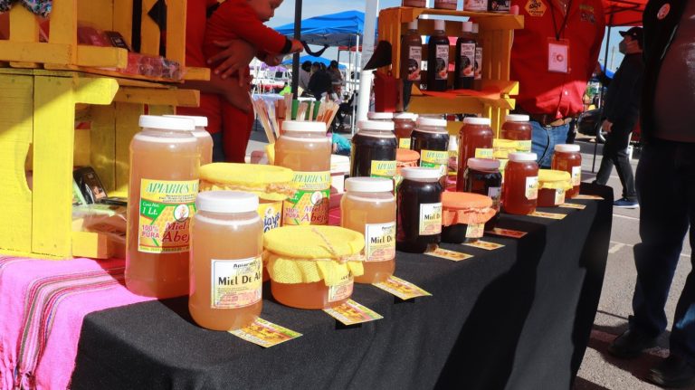 Continúa abierta convocatoria para créditos Fipes, a negocios de diversos giros