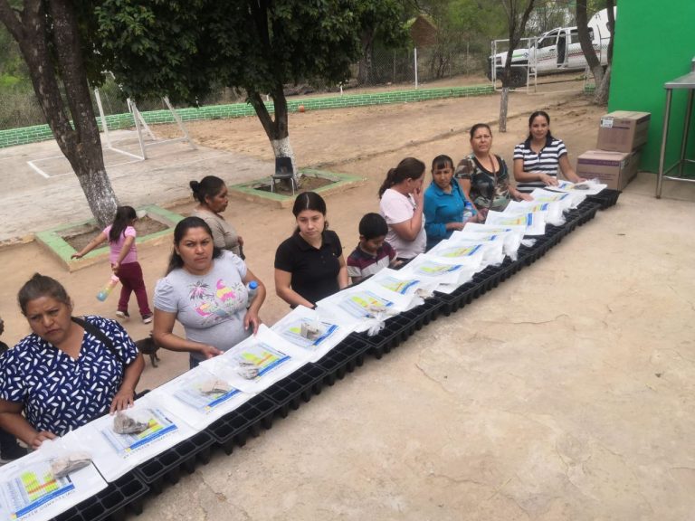 Lleva DIF Estatal capacitación en el cultivo de hortalizas a cinco municipios del estado