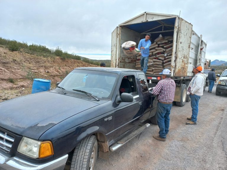 Entregan a productores 43 toneladas de alimento balanceado, en Cuauhtémoc