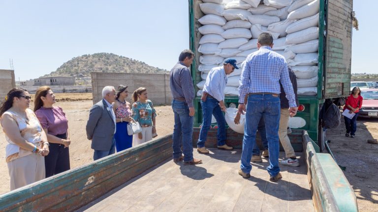 Destinan 2.6 mdp en apoyos de fertilizante y semilla de avena para productores de Cuauhtémoc