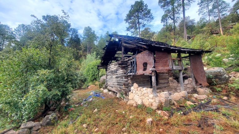 Destruyó Policía del Estado tres campamentos del crimen organizado en operativos en Guachochi
