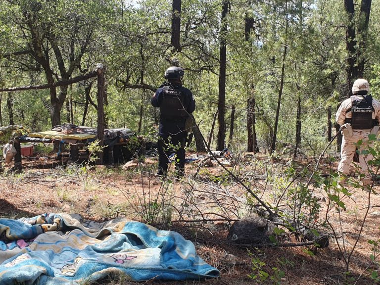 Arrojan recorridos de la SSPE en Nuevo Casas Grandes una detención y la destrucción de un campamento