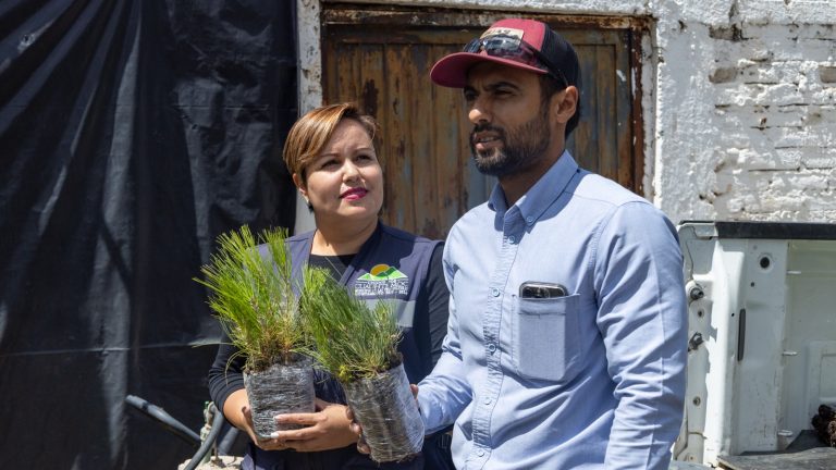 Pondercel dona 5000 árboles al Municipio de Cuauhtémoc