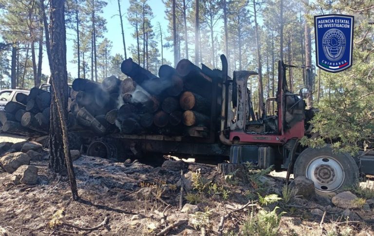 Incendian camiones bolilleros en Madera