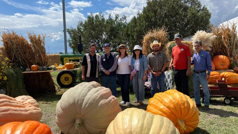 Realizan el Décimo Festival de la Calabaza en Cuauhtémoc