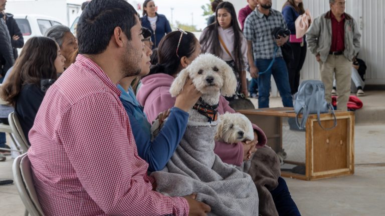 Esterilizan a un total de 2198 mascotas en 7 campañas a bajo costo, en Cuauhtémoc