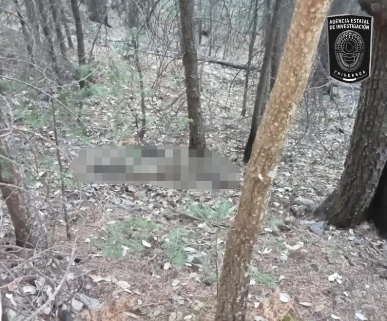 Hallan restos óseos durante rastreo en paraje del municipio de Ocampo