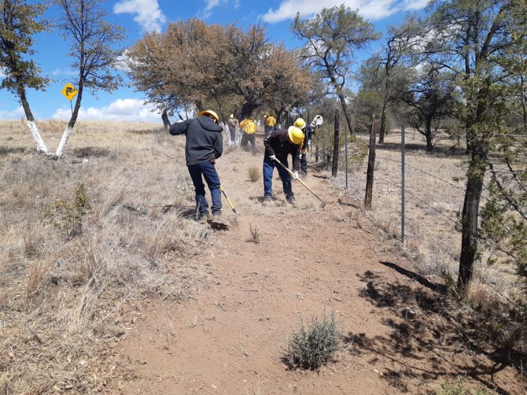 Intensifican brigadas operativos preventivos contra incendios forestales por periodo vacacional