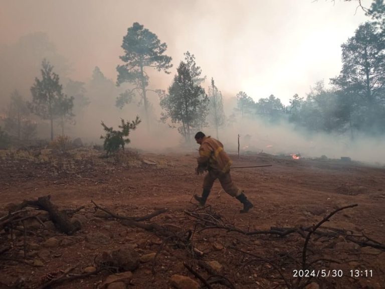 Invita Cáritas de Chihuahua a donar víveres para brigadistas contra incendios de la Sierra Tarahumara