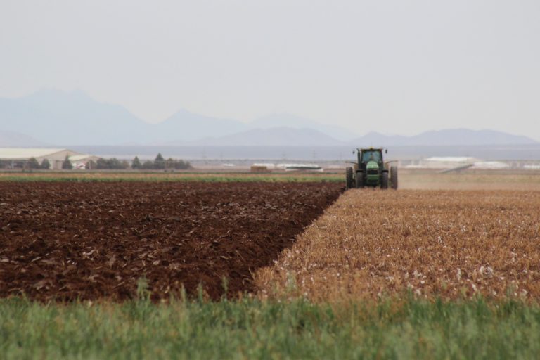 Adquiere Desarrollo Rural seguro contra la sequía para más de 43 mil hectáreas de maíz, frijol y avena