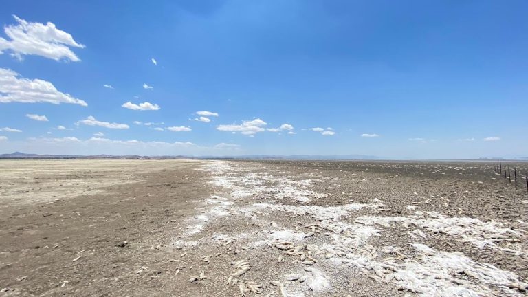 Convocan a ciudadanos para realizar trabajos de limpieza en la Laguna de Bustillos