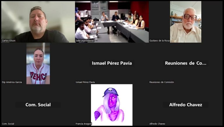 Aprueban proyecto de dictamen para tipificar la violencia vicaria