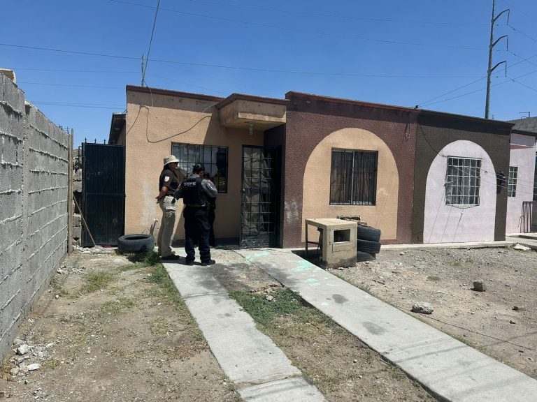 Rescatan elementos de K9 a cinco migrantes en Ciudad Juárez