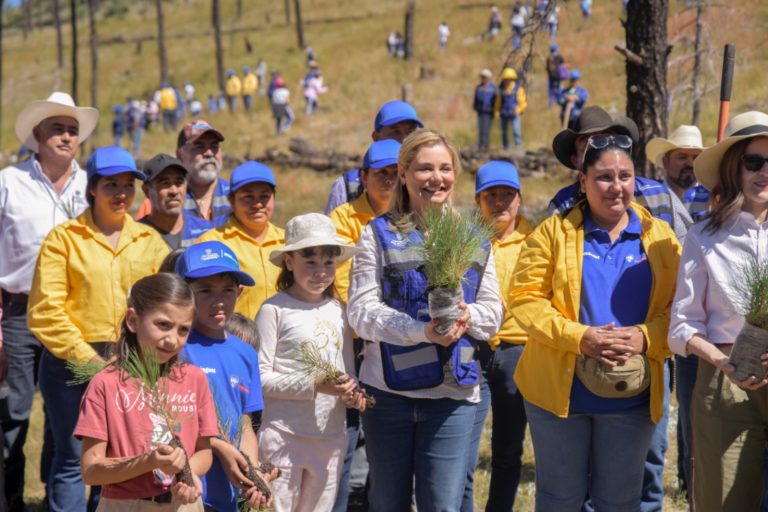 Impulsa Maru Campos la reforestación y el desarrollo sustentable en beneficio de 10 mil habitantes de la Sierra Tarahumara