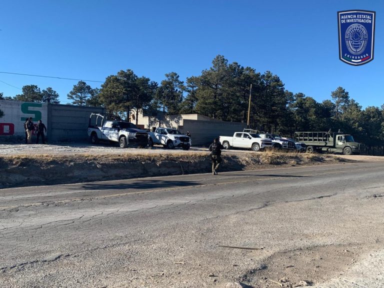 Aseguran madera y guías en aserraderos de San Juanito en operativos contra la tala ilegal