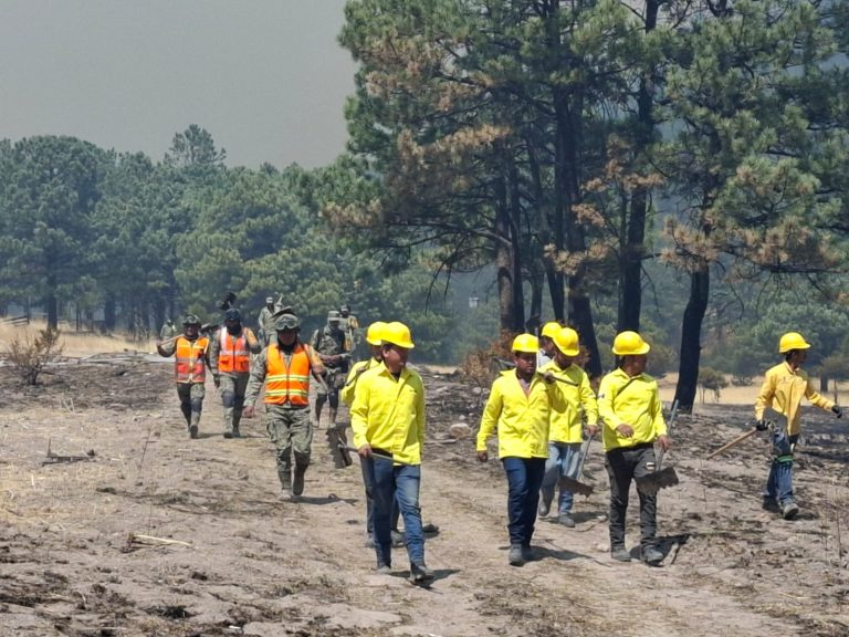 Trabajan más de 340 combatientes para sofocar incendios forestales en el estado