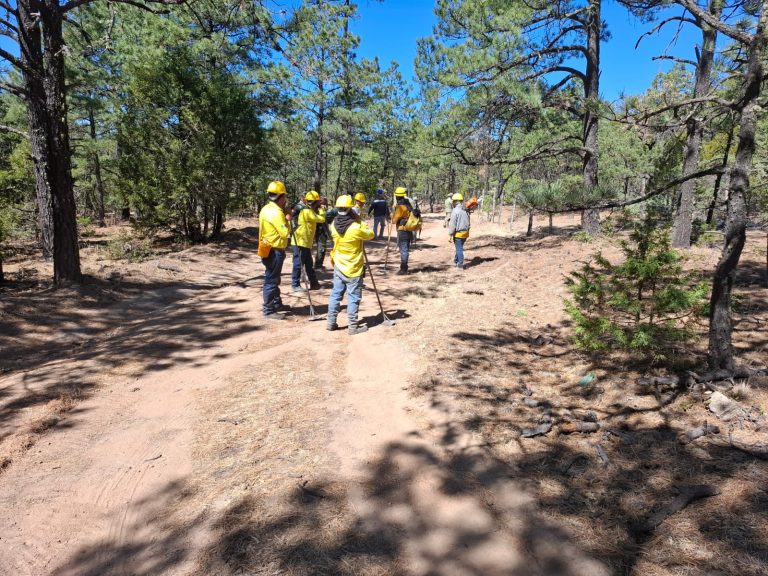Disminuyen incendios forestales activos en la entidad: SDR