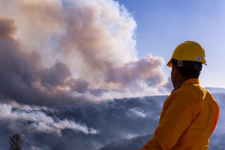 Registra SDR cinco incendios forestales activos en la entidad