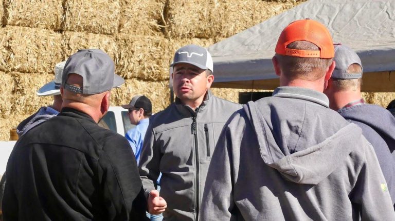 Respalda GPPAN a ganaderos de Chihuahua y exige al Gobierno Federal que atienda la crisis sanitaria