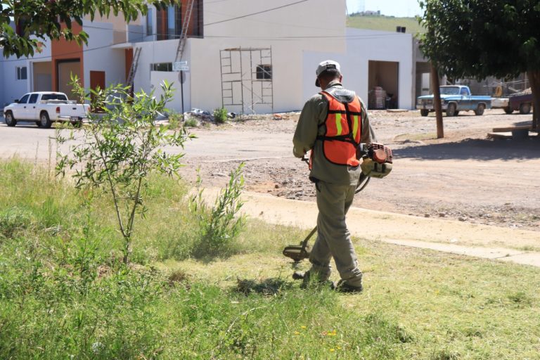 Se puede solicitar limpieza de terrenos a bajo costo, en Cuauhtémoc