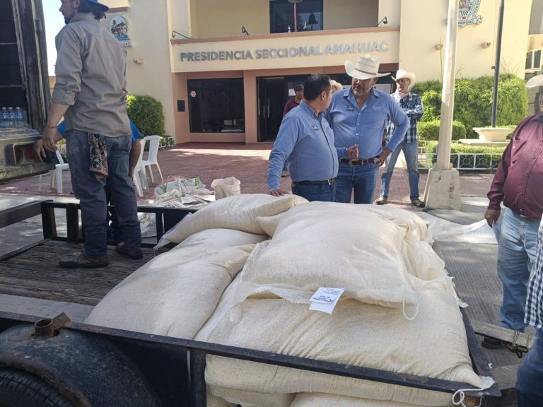 Presidencia Seccional de Anáhuac hace una segunda entrega de maíz molido