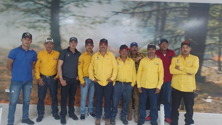 Continúa Chihuahua sin incendios forestales activos: SDR