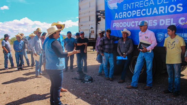 Capacita Estado a productores para la detección del Gusano Barrenador del Ganado