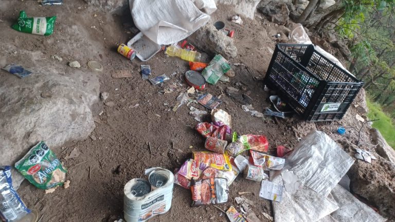 Destruye operativo conjunto campamento en Moris